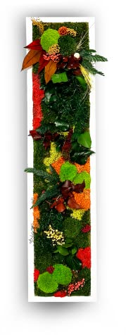 Elegante quadro floreale con piante e fiori stabilizzati - Lussureggianti colori naturali per la tua casa - Perfetto per un tocco di natura senza manutenzione - compresa cornice 20x100cm (A - ROSSO)