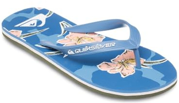 Quiksilver™ MOLOKAI ART 25-42 - Blau