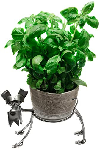 STEEMO® Original Schraubenmännchen Küchenkräuter & Blumentopfhalter – Hund - Metall-Deko, Handarbeit, Stahl, grau - Ring DM 12 cm