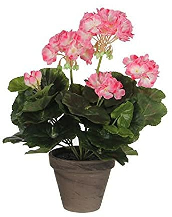 Mica decorations 950219 Blumen, Geranium großen, Mehrfarbig