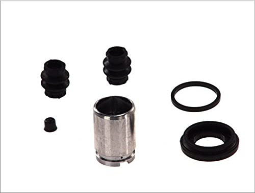 AUTOFREN SEINSA D41163C Bremssattel-Reparatursatz Hinten Kompatibel mit VW Lupo 6X1, 6E1, MITSUBISHI COLT VI Z3A, Z2A, RENAULT Megane 3 Grandtour KZ0/1 Megane 3 Schrägheck BZ0/1, SMART FORFOUR 454