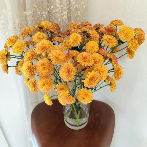 350 pcs gänseblümchen samen blumensamen mehrjährig winterhart gänseblümchen samen für rasen bienenwiese saatgut mehrjährig winterhart pflanzen garten blumensamen geschenk blumenwiese