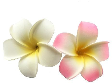 Hawaiianische Frangipani-Plumeria-Clips und Haarspangen, Schaumstoffkopf, Blume, Party, Strand, Haarschmuck, Körperpflege, 7 cm, Weiß und Rosa, 2 Stück