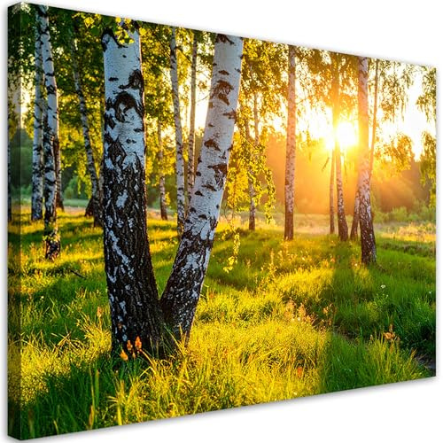 Feeby Wandbild - Wohnzimmer Modern Deko - Birkenwald Natur Landschaft - 30x20 1tlg - Bilder Leinwand - Bild auf Leinwand Schlafzimmer - Leinwandbilder für die Wand - Canvas Painting - Fotokunst
