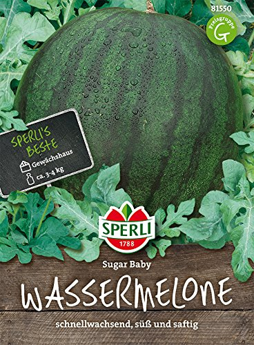 Wassermelone, Sugar Baby