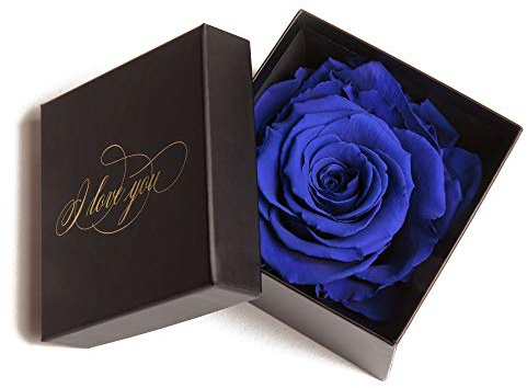 Exklusive Geschenkidee für die ewige Liebe mit 1 konservierten Rose haltbar 3 Jahre und Goldschrift I LOVE YOU/Rosenbox/Blumenversand ewig blühende Rose (1 Rose, Schwarz-Blau)