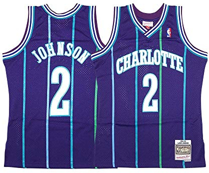 Mitchell & Ness Charlotte Hornets Larry Johnson Alternate 1994-95 Swingman Jersey Purple