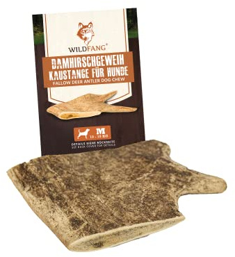 Wildfang® Damhirsch-Geweih für Hunde Kauspielzeug – Hundespielzeug, natürliche Hirschgeweih Geweihe für Hunde & Kauknochen, Zahnpflege & ohne Zusätze, idealer Kausnack für Hunde 10–25 kg – 1er Pack