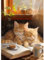 TOSTOG 5D Diamond Painting für Erwachsene,Katze und Buch Diamant Painting Kits Bilder,Diamant Malerei DIY Diamond Painting Bilder Set 30x40cm für Wanddekor