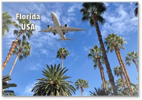 Kühlschrankmagnet Flugzeug fliegt über Florida Palmen am blauen Himmel