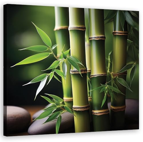 Feeby Leinwand Bilder - Orientalischer Zen-Bambus - Canvas 30x30 cm - Deko Wohnzimmer - Wandbilder Schlafzimmer - Deko Aesthetic - Wand Deko - Leinwand Groß - Deko Zimmer - Leinwandbilder XXL