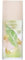 Elizabeth Arden - Green Tea, Eau de Toilette, Parfüm mit Naturessenzen wie Pistachio Crunch, erfrischend, blumig und zitrusartiger Duft, weckt die Sinne, belebt - 100 ml