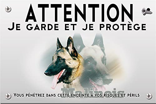 Plaque plastique Attention au chien malinois de beauté
