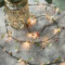 6.6Ft Tiny Flower and Fruit Vine Fairy String Lights 20 LED Artificial Flower Decorative Night Light Battery Powered String Light for Christmas Wedding Garden Birthday Decor