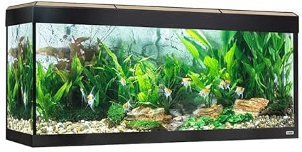 Fluval Aquarium Roma Bluetooth LED Beleuchtung 240 Liter Eiche