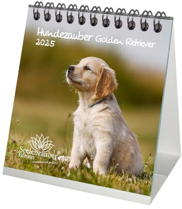Hundezauber Golden Retriever Kalender für 2025 Format 10cm x 10cm Welpen und Hunde - Seelenzauber
