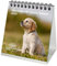 Hundezauber Golden Retriever Kalender für 2025 Format 10cm x 10cm Welpen und Hunde - Seelenzauber