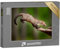puzzleYOU: Puzzle 2000 Teile „Genaue Landung: Springender Baummarder, auch bekannt als Steinmarder“ – aus der Puzzle-Kollektion Marder