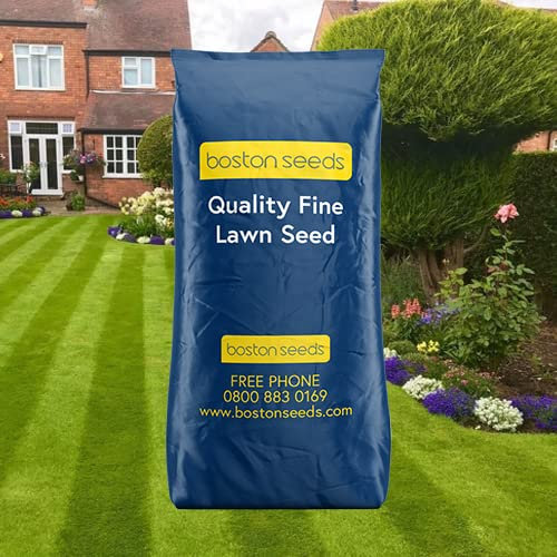 Boston Seeds Ornamental Grass Seed - Quality Grass Seeds for Fine Lawns. Luxury Premium Grass Seed (1x 10kg)