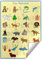 Deine Schulhelden ABC Lernposter DIN A2 - Grundschrift Alphabet Bild Poster für Kinder - Laute und Buchstaben von A bis Z - Ideal für Grundschule, Vorschule und Kindergarten