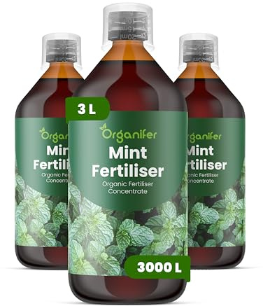 Engrais liquide organique 3x1L pour Menthe – favorise croissance et santé – Organifer