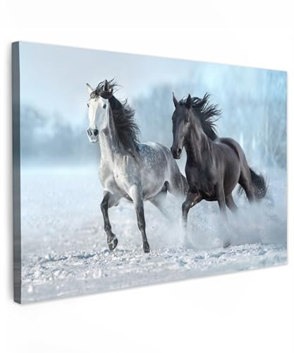 MuchoWow© Wandbilder Groß 120x80 cm XXL Wohnzimmer Wanddeko Schlafzimmer Zimmerdeko Wandgemälde Zimmer Deko auf Wand Dekoration Wall Art Pferde - Winter - Tiere - Natur - Schnee