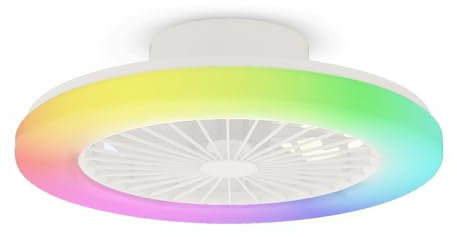 BKZO Modern LED Ceiling Light with Fan, RGB Ceiling Fan Lights, 6 Ventilation speeds, infinitely dimmable Light for Living Room, Bedroom, Office, 3000-5500 K,(White 48CM RGB)