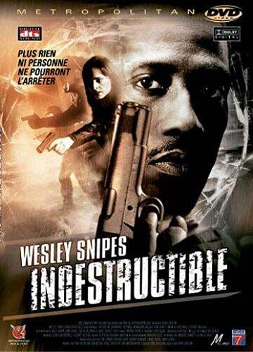 Indestructible [FR Import]