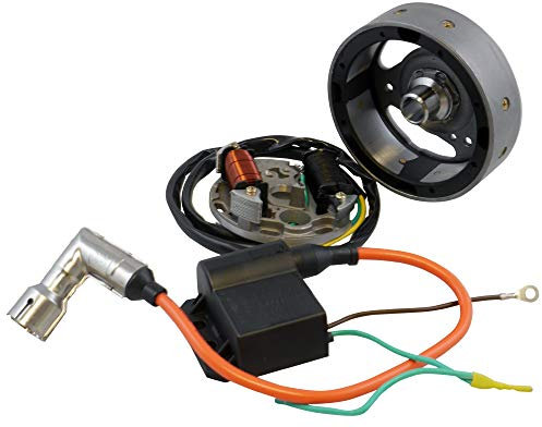 VANEZ Zündanlage 12V Zündung komplett kompatibel für Puch Maxi, Sachs Prima, Zündapp, Kreidler Mofa