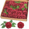 homEdge Rose artificiali, 25 pezzi, fiori artificiali in schiuma con stelo per decorazioni domestiche, bouquet di nozze, feste, certerpiece, anniversari, bordeaux