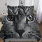 MANBUREN Katze Bettbezug-Sets,3D Animals Bettwäsche,Kissenbezug,kinderbettwäsche Jungen 3 Teilig Bettbezüge Mikrofaser Double（200x200cm）