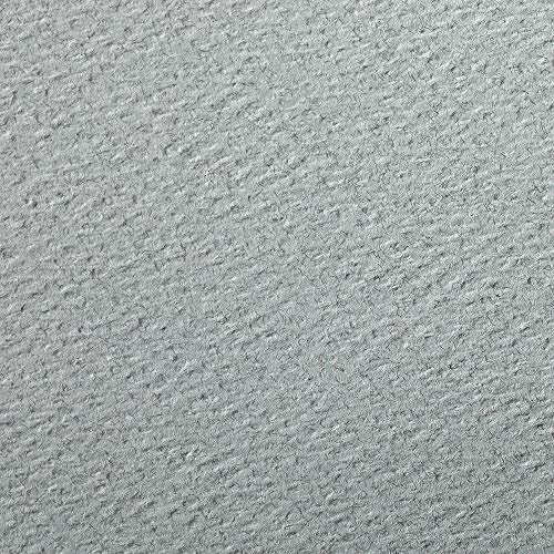 Clairefontaine 93895C Packung (mit 25 Bögen Zeichenpapier Etival Color, DIN A4, 21 x 29,7 cm, 160g, gekörnt, ideal für Trockentechnik und Einrahmen) wolkenblau
