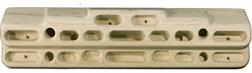 Beastmaker 2000 - Trainingsboard