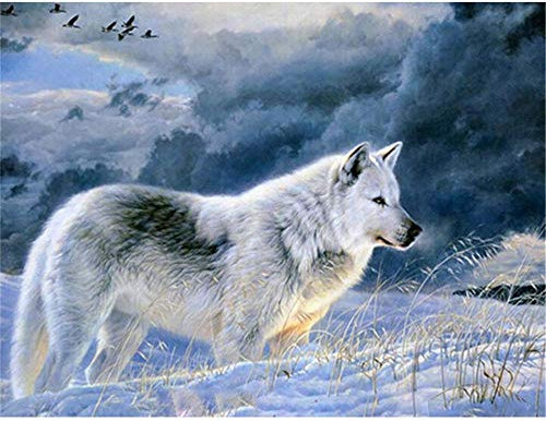 Yingxin34 Puzzle 1500 Teile Wolf im Schnee Jigsaw Puzzle für Erwachsene Kinder-35x23 Zoll (87 x 57cm)
