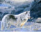 Yingxin34 Puzzle 1500 Teile Wolf im Schnee Jigsaw Puzzle für Erwachsene Kinder-35x23 Zoll (87 x 57cm)