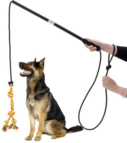 BORDEAG Profi Reizangel Hunde mit 82cm Ausziehbar Stab, Hundespielzeug Ausziehbar Training & Spaß, Für Indoor/Outdoor Welpen bis Großhunde