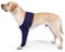DONGKER Links Vorderbein Ärmel für Hunde, Single Front Leg Recovery Sleeve Hund, Vorderbeinschoner Ellenbogenbandage Protector für Hot Spots, Wunden, Bandagen