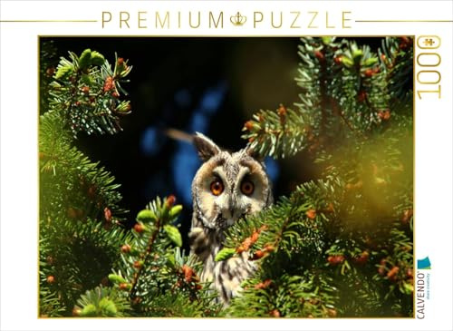 CALVENDO Puzzle Waldohreule | 1000 Teile Lege-Größe 64 x 48 cm Foto-Puzzle für glückliche Stunden