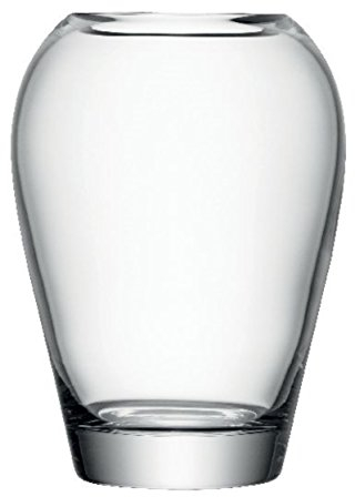 LSA International FW14 Vase bouquet fleurs de jardin Flower, hauteur 25 cm, transparent