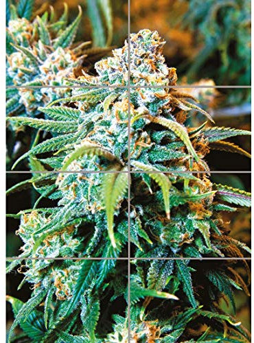 Doppelganger33 LTD Cannabis Marijuana Weed Stoner XL Giant Panel Poster Art Print (8 Sections)