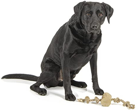 Wallace & Jones | Hundespielzeug | Gorilla Tug Large | zum Werfen oder Kauen - Spaß pur