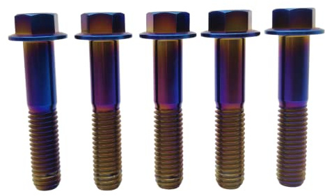 RISON-Titanium Bullone in Titanio M6x1.0x40mm, 5 Pezzi Vite a Testa Esagonale con Flangia, Bullone Flangiato Vite di Fissaggio Bulloneria a Flangia Viti a Brugola per Bici, Moto