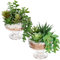 Set di 2 piante artificiali in vaso di vetro, piante artificiali, per bagno, cucina, terrazza, piante artificiali, decorazione moderna, soggiorno, balcone, camera da letto, bagno, camera da letto,