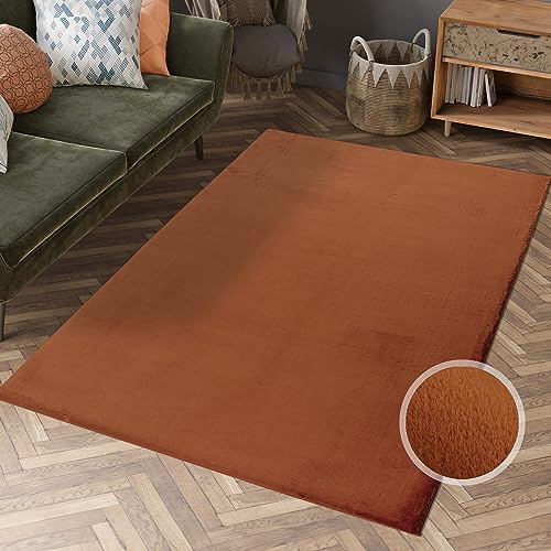 carpet city Hochflor Teppich Wohnzimmer - Einfarbig Terra - 120x170 cm - Super Soft Polyester, Samtig-Flauschiger Flor - Fell-Teppiche für Schlafzimmer, Esszimmer, Arbeitszimmer