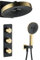 LNXGJJ Duschsystem mit Thermostat, Schwarz und Gebürstetes Gold Duscharmatur Unterputz 2 Fonctions Regendusche Set Wandmontiert Duschset mit Duschkopf, Handbrause