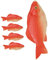 ibasenice Realistisches Fischmodell-Set 5-teilig Fischornamente Aus Schaumstoff Dekoration für Aquarien