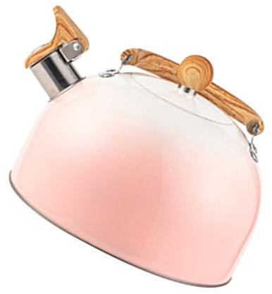 CIYODO Pfeifteekessel Aus Edelstahl Für Herd Gaskessel Mit Pfeifton Kleiner Teekessel Für Küche Wasserkocher Für Induktionsherd Praktische Teekanne Zum Kochen Von Wasser