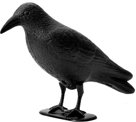 OFFO Schwarz Rabe Vogelschreck - Kunststoff Taubenabwehrsystem für Balkon Garten Terrasse Krähenattrappe Schutz vor lästigen Vögeln,1 Stück