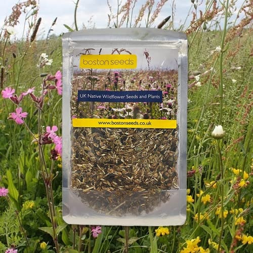 Boston Seeds Restore & Enrich Wildflower Seeds - Wildflower Seed to Restore & Enrich Meadow & Grassland. UK Native Mix with 23x Annual & Perennial Wildflowers (100g)