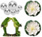 PLATEYTR Set mit 9 Miniteich Deko Set Schwimmfrosch mit für Miniteich Terrassenteich Zinkwannen Solarbrunnen Garten Balkon Teiche Deko 1 Frosch、6 Schwimmkugeln und 2 Schwimmend Lotusblüte(A-02)